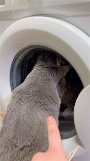 Is there another world in the washing machine