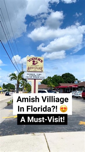 174K views · 3K reactions | Yes! We really do have an Amish Villiage right here in Florida! It is located near the Sarasota area and you should check it out! #amish #amishcountry #sarasotaflorida #sarasota #hiddengems #traveltheworld #floridatravel #floridalife | Florida Trippers | Facebook