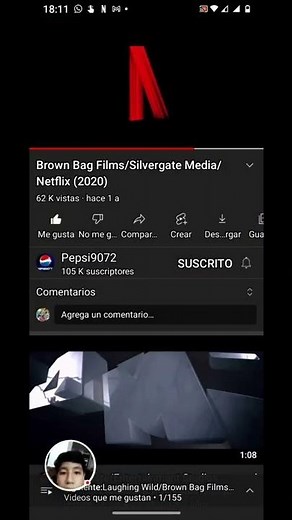 Brown Bag Films/Silvergate Media/Netflix (2020)