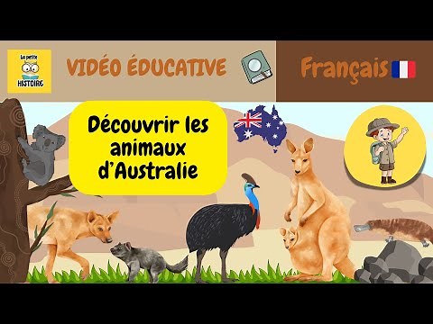 Apprendre les animaux sauvages d'Australie I Apprendre les animaux I Vidéo éducative en français