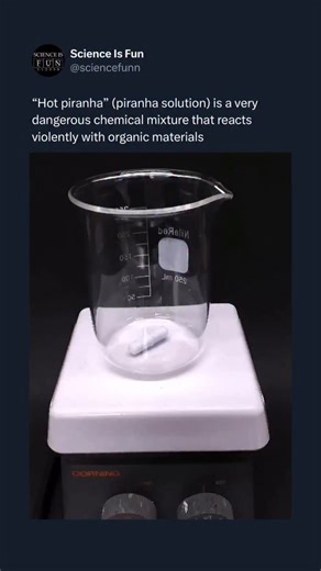 Science Is Fun By Tomas Rosko on Instagram: "Hot Piranha is a mix of concentrated sulfuric acid (H₂SO₄) and hydrogen peroxide (H₂O₂). Why is it called hot you ask? When you mix peroxide into strong sulfuric acid, the reaction is very exothermic (releases a ton of heat). The solution can heat up above 100 °C. Because of this heat + reactivity, the solution often bubbles and looks “alive” in a way — that’s why labs call it “hot piranha”. It’s used mostly in microfabrication / semiconductor labs to