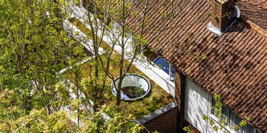 You have to see this amazing kitchen extension nestled in woodlands