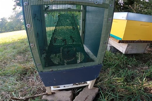 La nasse coréenne, le piège à frelon asiatique le plus efficace pour protéger les abeilles