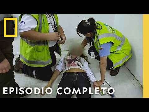 Planes Sucios | Alerta Aeropuerto
