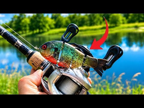 This Bait is a Bass Cheat Code… (I caught so many fish!)
