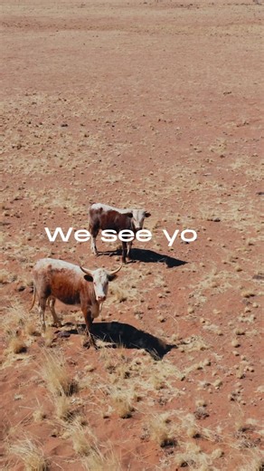 Through the highs and lows of 2025, our farmers stood strong. Thank you. #cedarsolarnamibia | Cedar Solar Namibia