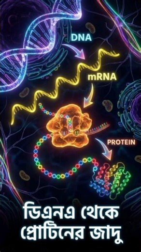 How is protein made from DNA information? #healthtips #medicalanimation #science #youtubeshorts