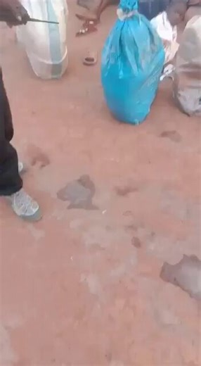 Adults in the Congo are placing children into plastic bags to sell them as laborers in cobalt mines.The serious problem of child slavery in the region’s mining sector remains largely unaddressed.