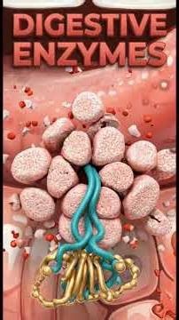 What Happens When Lips Have No Oil Glands | Biology of Dry Lips Explained | Why Lips Are Always Dry