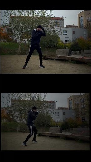 Guess Which Boxer is AI