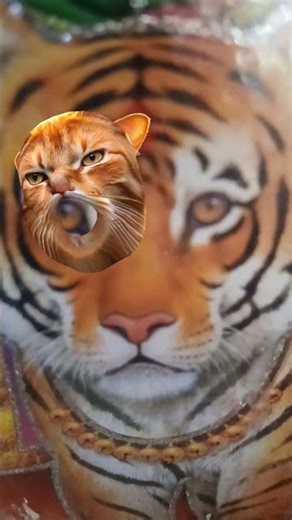 #Maiya bhavan me kaise#song #bhaktihit #stutsvideo 🪷🌷🌺💖🙏👌