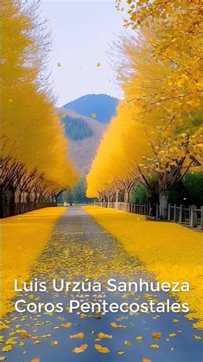 SI MI PUEBLO SE HUMILLARE 🔥 Coros De Amor y Paz 🔥 Codap Music