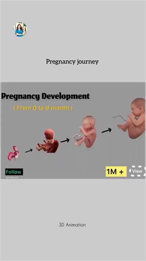 Izin menjelaskan secara sederhana mengenai proses biologis dari having fun (hubungan intim), perkembangan janin di dalam rahim, hingga terbentuknya bayi.1. 𝗛𝘂𝗯𝘂𝗻𝗴𝗮𝗻 𝗦𝗲𝗸𝘀𝘂𝗮𝗹 𝗱𝗮𝗻 𝗘𝗷𝗮𝗸𝘂𝗹𝗮𝘀𝗶Penis memasuki vagina, diikuti dengan ejakulasi, dimana sperma dilepaskan ke dalam vagina.2. 𝗣𝗲𝗿𝗷𝗮𝗹𝗮𝗻𝗮𝗻 𝘀𝗽𝗲𝗿𝗺𝗮 𝗱𝗶 𝗱𝗮𝗹𝗮𝗺 𝗷𝗮𝗹𝗮𝗻 𝗹𝗮𝗵𝗶𝗿 𝘄𝗮𝗻𝗶𝘁𝗮Sperma berenang melalui vagina, melewati serviks (leher rahim), rahim, dan masuk ke tuba falopi (saluran telur