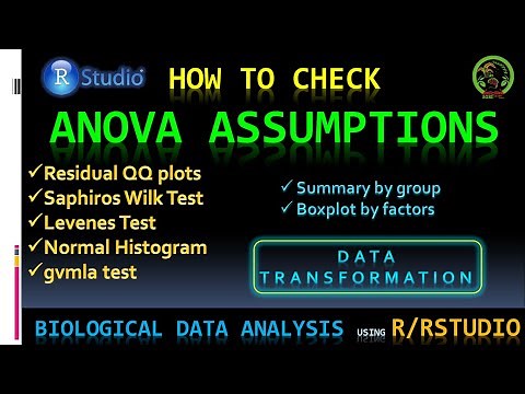 Check ANOVA assumptions in RStudio | Data transformation | Saphiro Wilk test for Normality