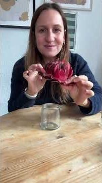 DIY autumn decorations 🍁 #decorationideas #diy #craftingwithchildren #diyprojects #diyideas #doit...