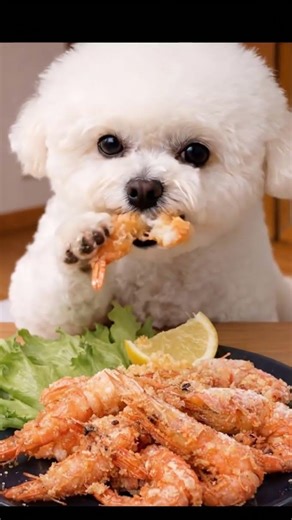 【ASMR】Ultra Crunchy Fried Sweet Shrimp 🦐✨ | サクサク！甘えびのから揚げ #puppy #咀嚼音揚げ物 #cute #pets