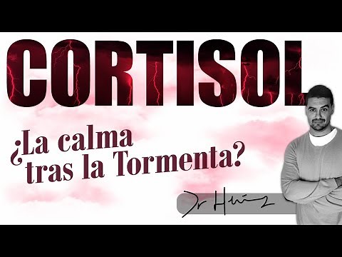 Cortisol: The Stress Hormone. What It Is and How to Control It