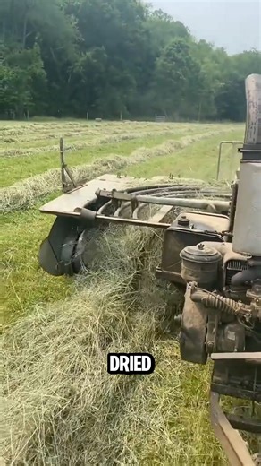 This vintage hay baler runs with its own gas engine — no PTO needed. #vintagefarming #haybaler | Lara Amélia