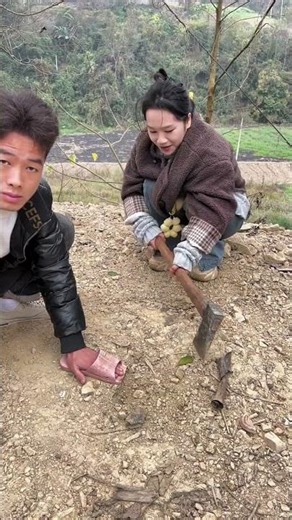 Smart Farming Amazing Bird Trapping Technique #prankvideo #tiktok