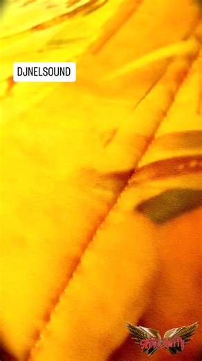 DJ NELSOUND on Instagram: "In the 1970s, Tyler rose to prominence as the lead singer of Aerosmith, which released such hard rock albums as Toys in the Attic and Rocks as well as a string of hit singles, including "Dream On", "Sweet Emotion" and "Walk This Way". By the late 1970s and early 1980s, Tyler had become addicted to drugs and alcohol, and the band's popularity waned. In 1986, Tyler completed drug rehabilitation and Aerosmith rose to prominence again when Tyler and Joe Perry joined Run-DM