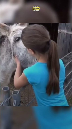 Heartwarming : Donkey Cries Seeing His Caretaker! #animals #shorts