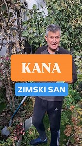 173K views · 2K reactions | Kana (Canna indica) se vadi iz zemlje pre...