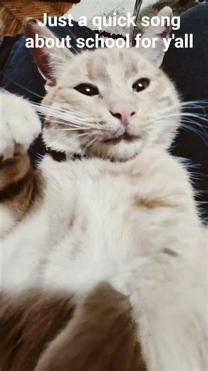 just a quick song for y'all