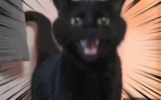 「𝐁𝐊𝐒𝐭𝐨𝐫𝐞 𝐂𝐲𝐩𝐡𝐞𝐫」𝐌𝐕拍摄花絮 - 开会篇