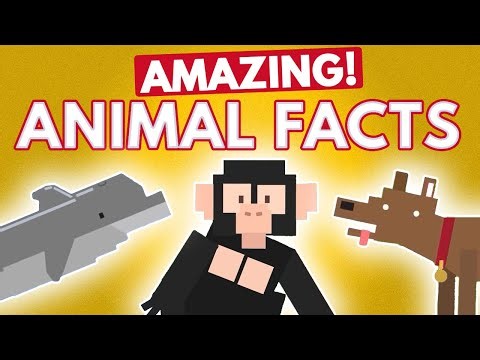 Did You Know These Amazing Animal Facts?