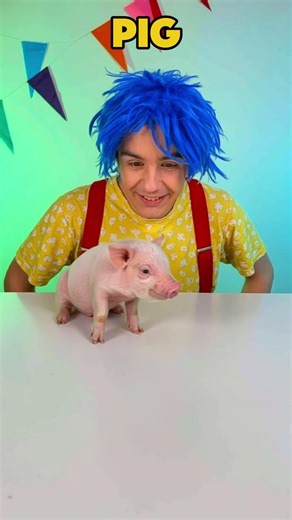 🐄 Let’s Learn Farm Animals — Interactive Toddler Fun! 🐑 #shorts #kidslearning