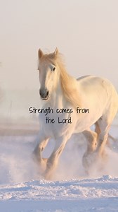 #dailyinspiration #dailybible #dailyscriptures #dailybibleverses #christianinspiration | Bible Study