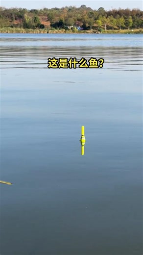 The best fishing blob to indicate fish with best fishing techniques!?