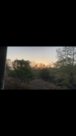 What a way to wake up.. | The Chase with Ted & Amber | Facebook