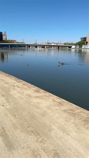 This fight will be bigger than Tyson and Paul | Ashley Gutermuth