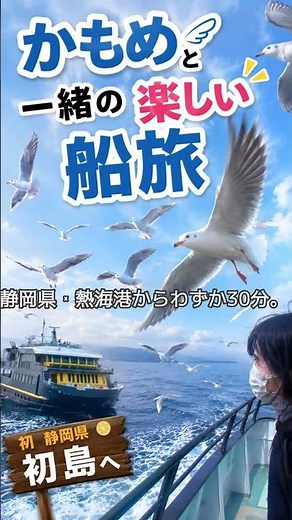 【初島】船を追いかけるカモメたちとの30分の船旅が最高すぎた！#初島#熱海 #静岡観光 #カモメ #離島旅行 #国内旅行 #観光スポット #ショート動画 #YouTubeShorts #旅動画
