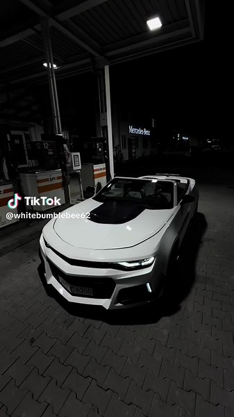 WhiteBumbleBee on TikTok