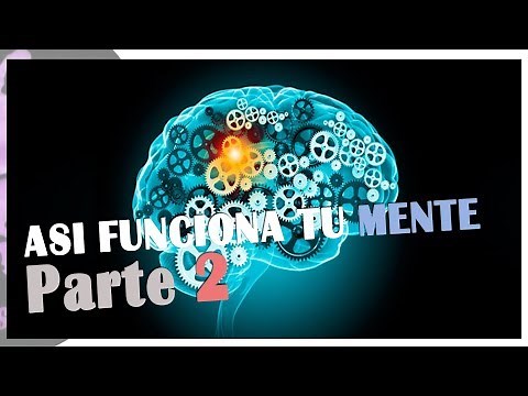 Así Funciona tu MENTE | Procesos Psicológicos Básicos (2ª PARTE) | por PsicoVlog
