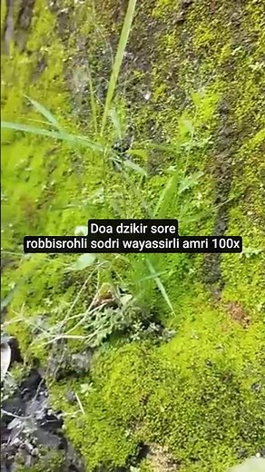 doa dzikir sore robbisrohli sodri wayassirli amri 100x #dzikirsore #robbisrohlisodri #shorts