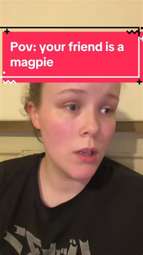 Magpie Encounter: A Fun POV with Your Feathered Friend