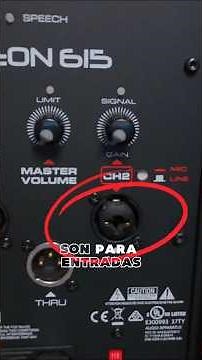 ENTRADAS y SALIDAS de AUDIO (Conectores XLR, TS y TRS).🇲🇽