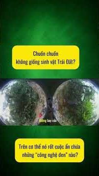 Cơ thể Chuồn Chuồn ẩn chứa "công nghệ đen" ??