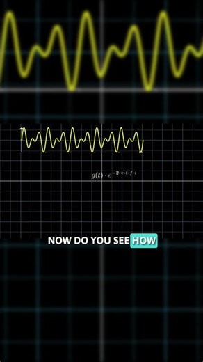 How Euler's formula helps to Fast Fourier Transform. #maths #fft #coding
