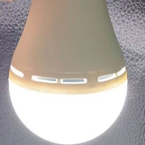 [Hot Item] Emergency Bulb Recharge Bulb Emerg LED Lights