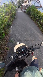 Tit for tat! They love chasing electric scooters, right? Today we'll teach them a lesson and let them experience what it's like to be chased! Do you have any like this around you? There are no dogs that need to be trained | King Charles dog