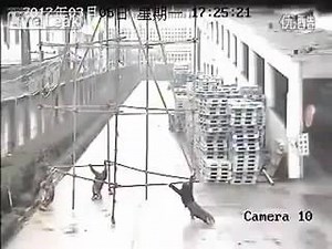 3.6K views · 43 reactions | Hydrogen sulfide effect on human body instantly | HSE Knowledge | Facebook