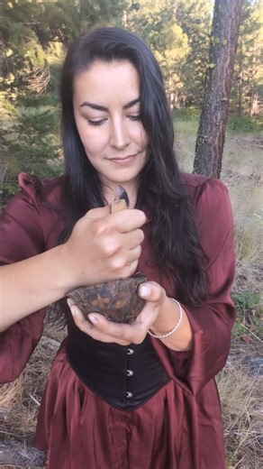 5.4K views · 24K reactions | Deep in the woods, I find myself...