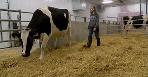 First all-female dairy farm class at Wisconsin college