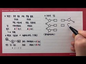 nucleic acids (DNA, RNA)
