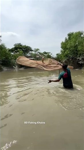How many big fish did I catch with a gill net in a small river?#fishing #fish #shorts