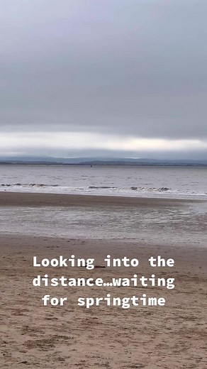CrosbyBeach on TikTok